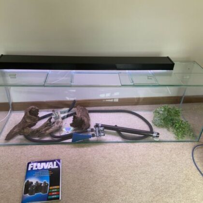 Buy Tropical Fish Aquarium