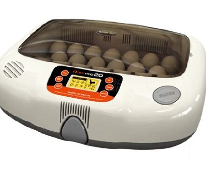 Automatic Digital Egg Incubator