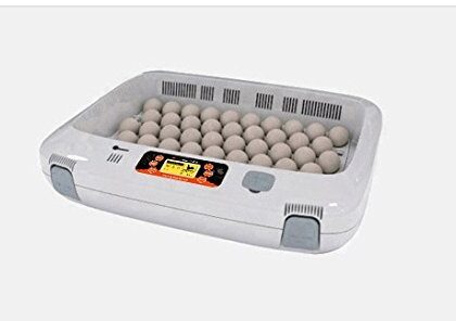 Buy egg incubator