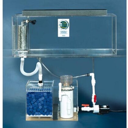 Buy aquarium tank